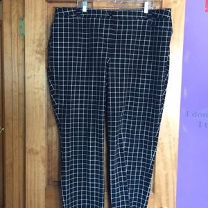 Size 26 Dress pant from Lane Bryant